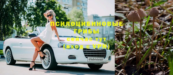 ПСИЛОЦИБИНОВЫЕ ГРИБЫ Домодедово